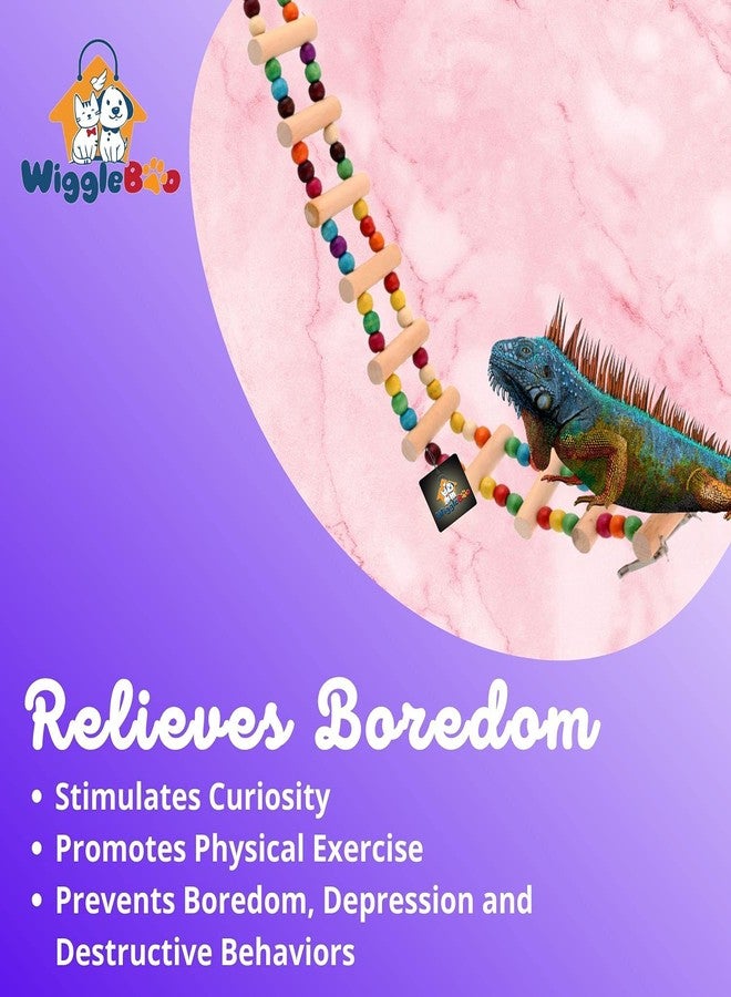 WiggleBoo لعبة قفص ويغل بو المرنة على شكل سلم للحيوانات الأليفة | للزواحف - الإغوانا، والوزغة، والسحالي | للعب والتسلق والمضغ | 48 سم - Image 3